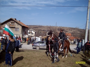 ALIM4022.JPG