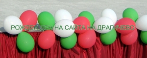 Рожден ден на сайта на Драгичево 07-11-2009 17:00